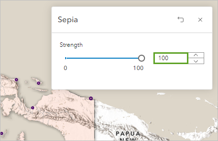 Sepia Strength set to 100.