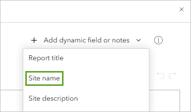 Site name option