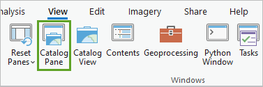 Catalog Pane button