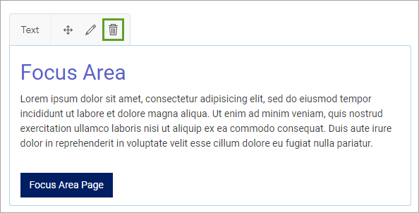Delete button for the Focus Area text