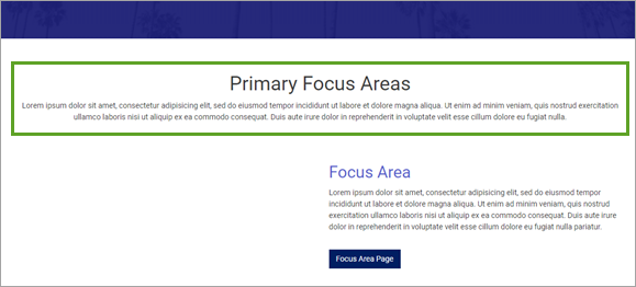 Primary Focus Areas text box