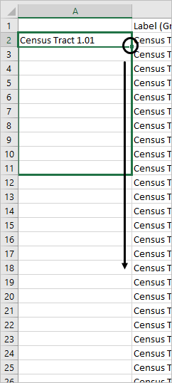 Drag function for the remaining cells in Column A