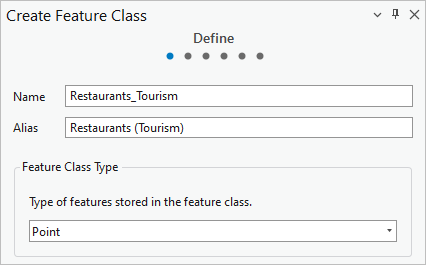 Name, Alias, and Feature Class Type parameters