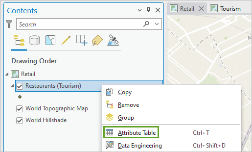 Attribute Table option