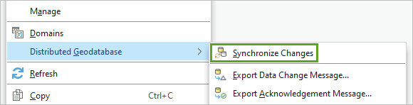 Synchronize Changes option