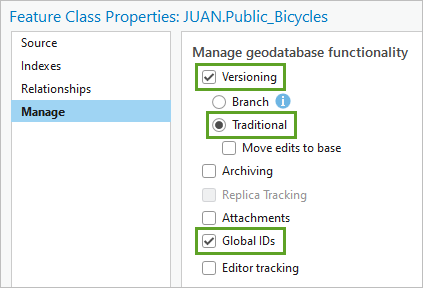 Versioning and Global IDs enabled