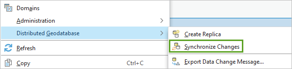 Synchronize Changes options