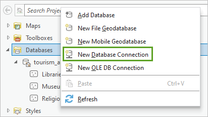 New Database Connection option