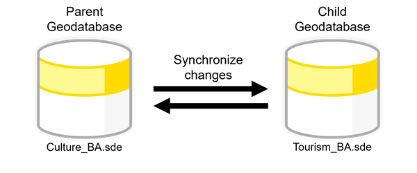 Graphic showing two-way replication between parent and child geodatabases