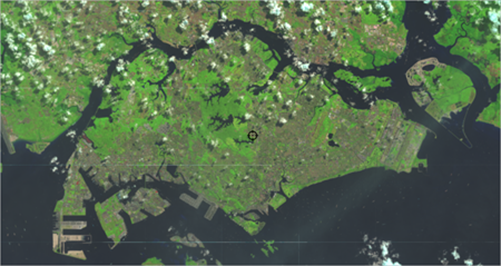 Landsat layer on the map