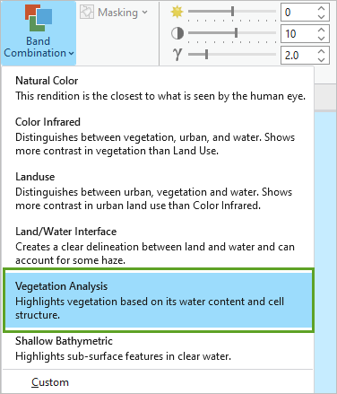 Vegetation Analysis band combination option