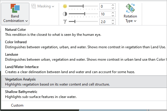 Vegetation Analysis band combination option