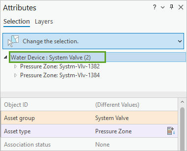 All selected features selected in the Attributes pane