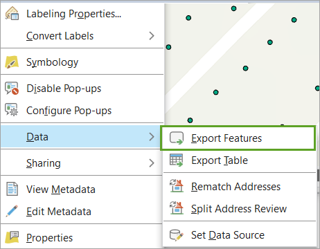 Export Features option