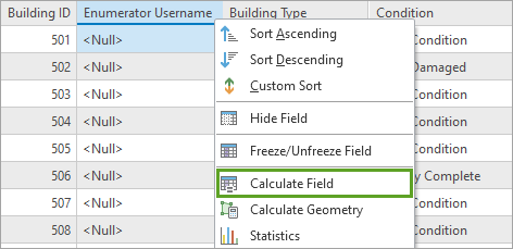 Calculate Field option