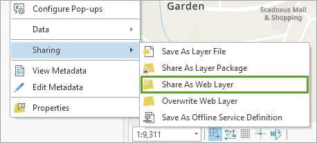Share As Web Layer option