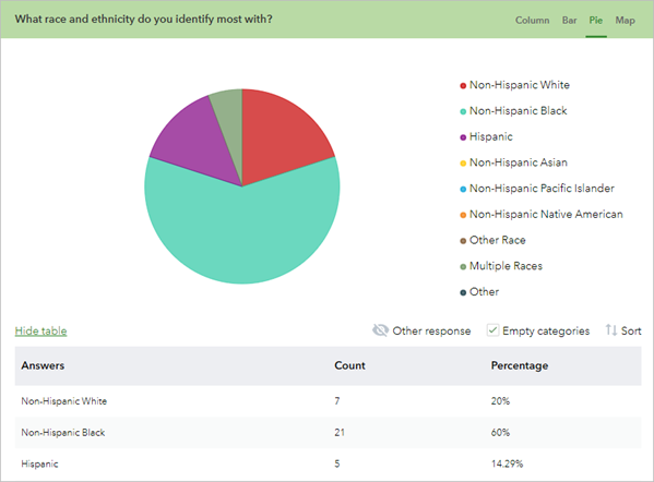 Pie chart with responses for the race and ethnicity question.