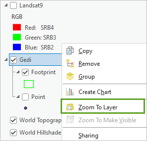 Zoom To Layer menu option