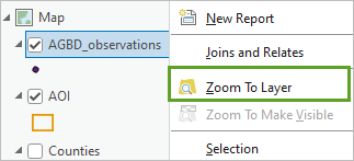 Zoom To Layer menu options