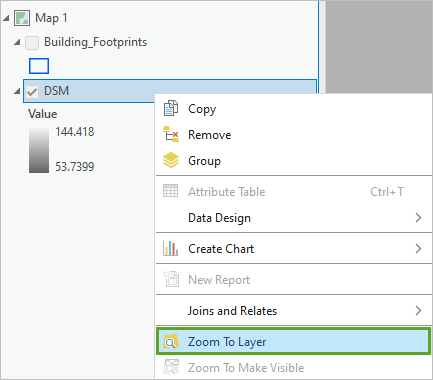 Zoom To Layer option for DSM layer