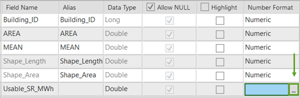 Determine display formatting for numeric and data field types button