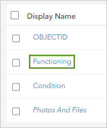 Functioning field display name