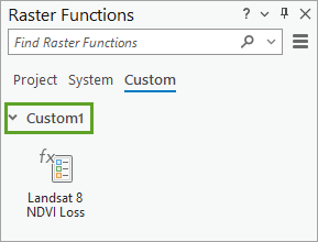 Custom1 section