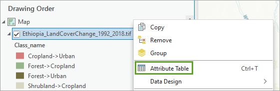 Attribute Table option