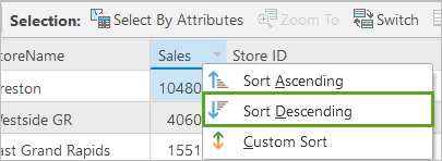 Facilities attribute table sorted by descending sales