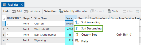 Facilities attribute table sorted by descending sales