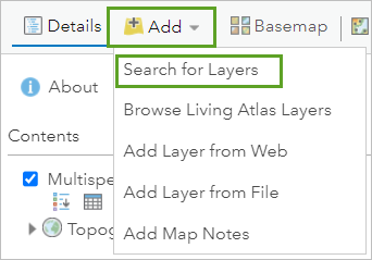 Click the Add button and select Search for Layers.
