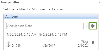 Format field values button in Image Filter pane