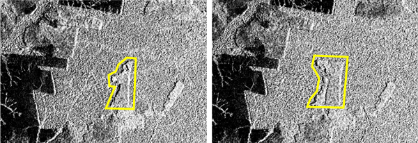 New deforestation activities between the two images