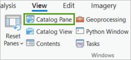 Catalog Pane button