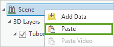 Paste option