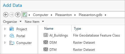 Files in the Pleasanton geodatabase