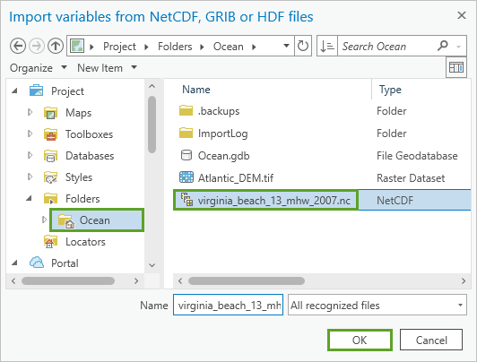 Virginia Beach .nc file selected in the Import variables from NetCDF, GRIB, or HDF files window