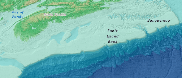 Basemap labels visible over the WMS layer