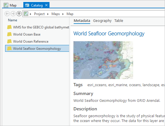 Catalog view with metadata for the World Seafloor Geomorphology layer