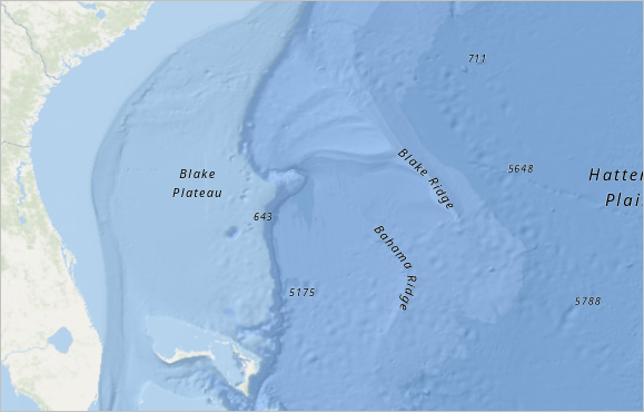 Oceans basemap with labels