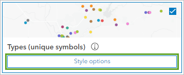 Style options button