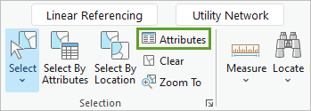 Attributes button on the ribbon