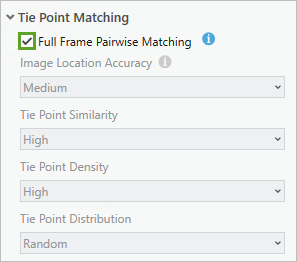 Full Frame Pairwise Matching box checked