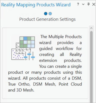 Reality Mapping Products Wizard appears.