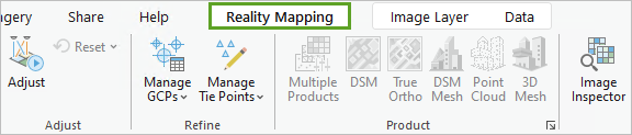 Reality Mapping tab