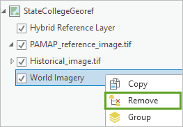 Remove the World Imagery layer.