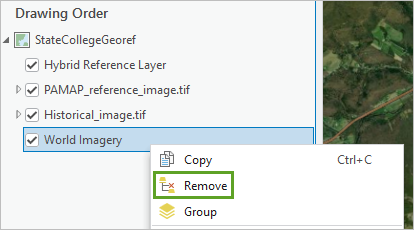 Remove the World Imagery layer.