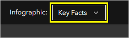 Infographic drop-down menu