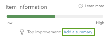 Item Information section with Add a summary link
