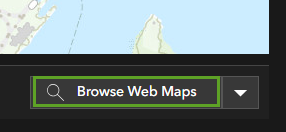 Change Web Map